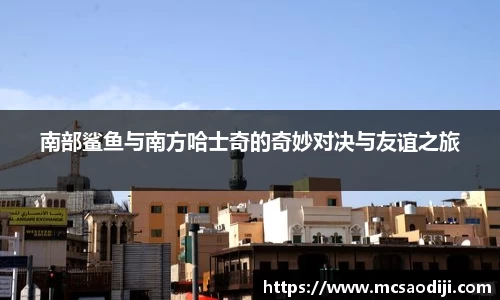 jn江南·体育登录入口