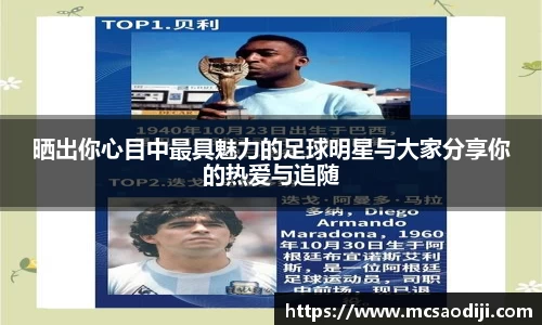 jn江南·体育登录入口